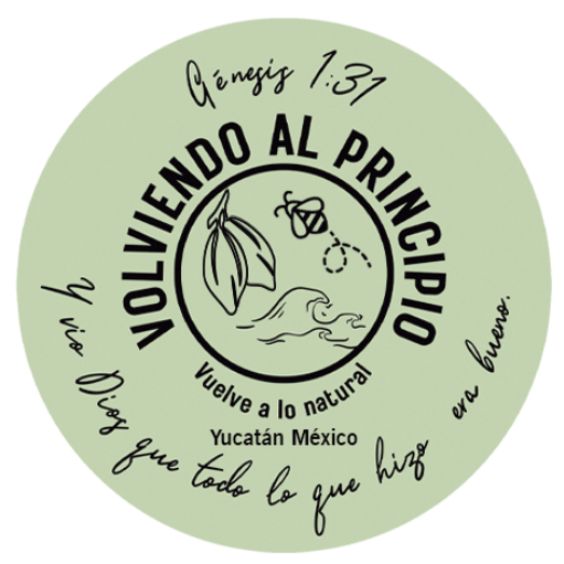 Volviendo al Principio